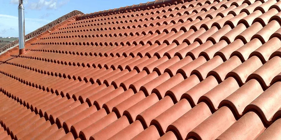 صورة المقال