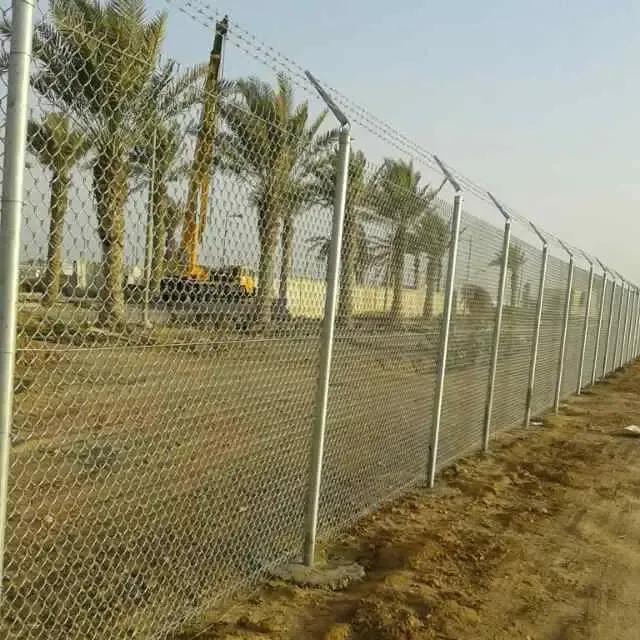 صورة المقال