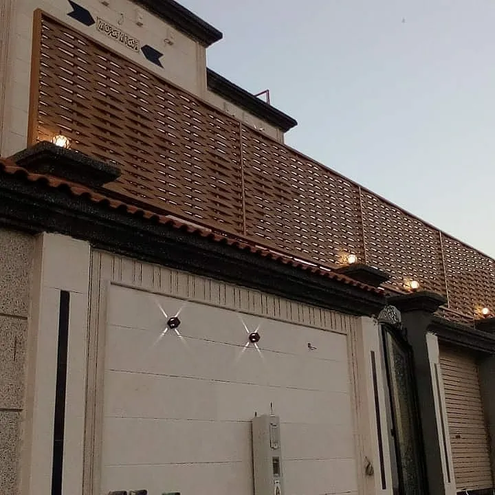 صورة المقال