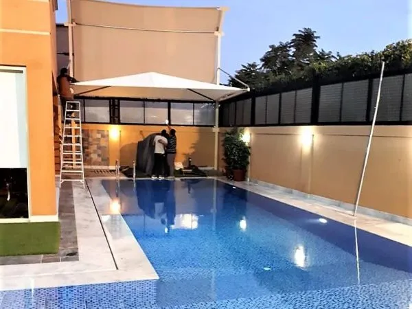 صورة المقال