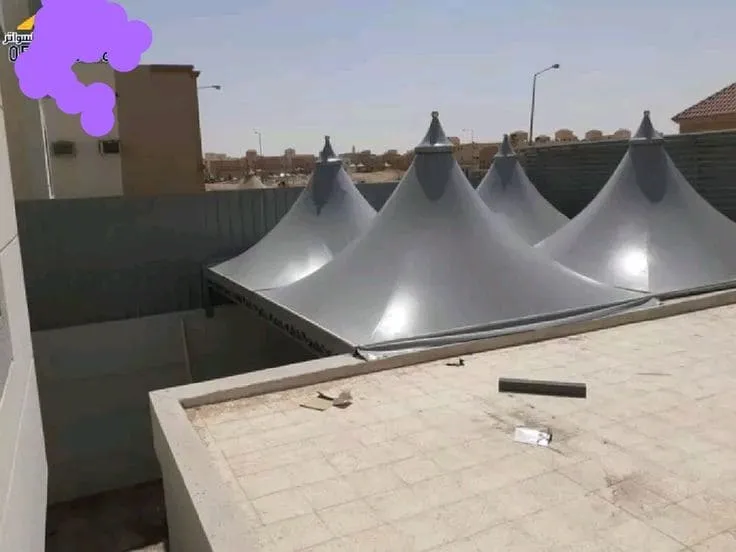 صورة المقال